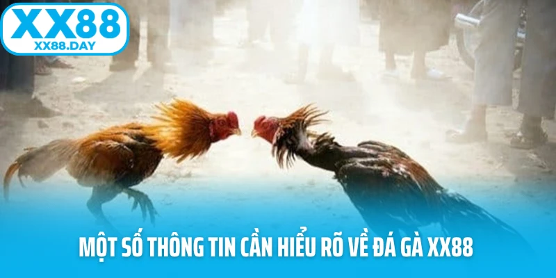 Đá Gà XX88 - Sảnh Game Nảy Lửa Và Hấp Dẫn Nhất 2026 - Slotmira