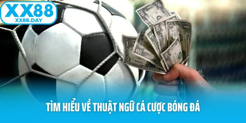 Mẹo Chơi Cá Cược Bóng Đá Giúp Bạn Không Bao Giờ “Trắng Tay” - Slotmira
